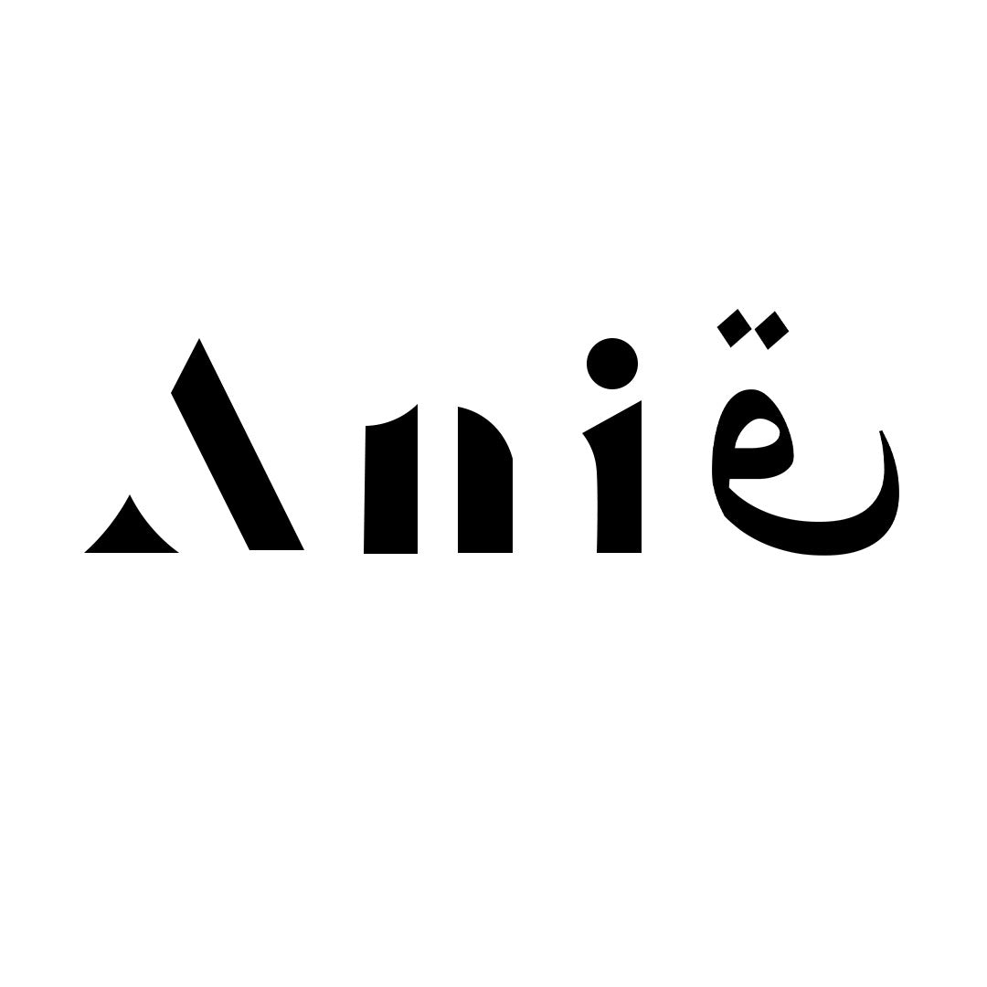 ANIQ